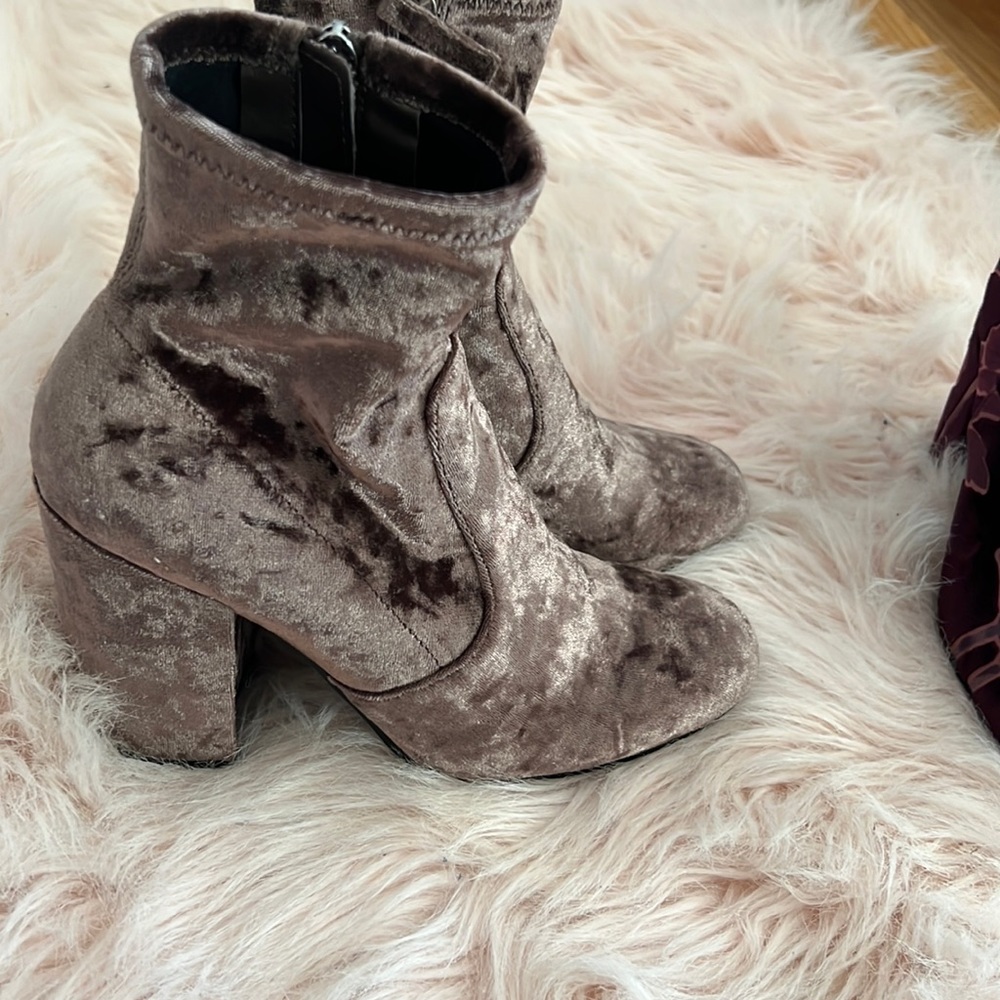 Steve Madden Gaze bootie . Velvet mauve